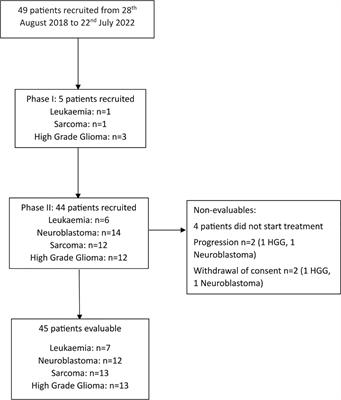 PARC: a phase I/II study evaluating the safety and activity of pegylated recombinant human arginase BCT-100 in relapsed/refractory cancers of children and young adults